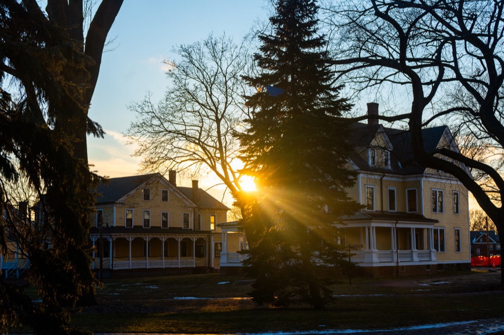 Low sunlight filtering through trees in front of two wooden houses.